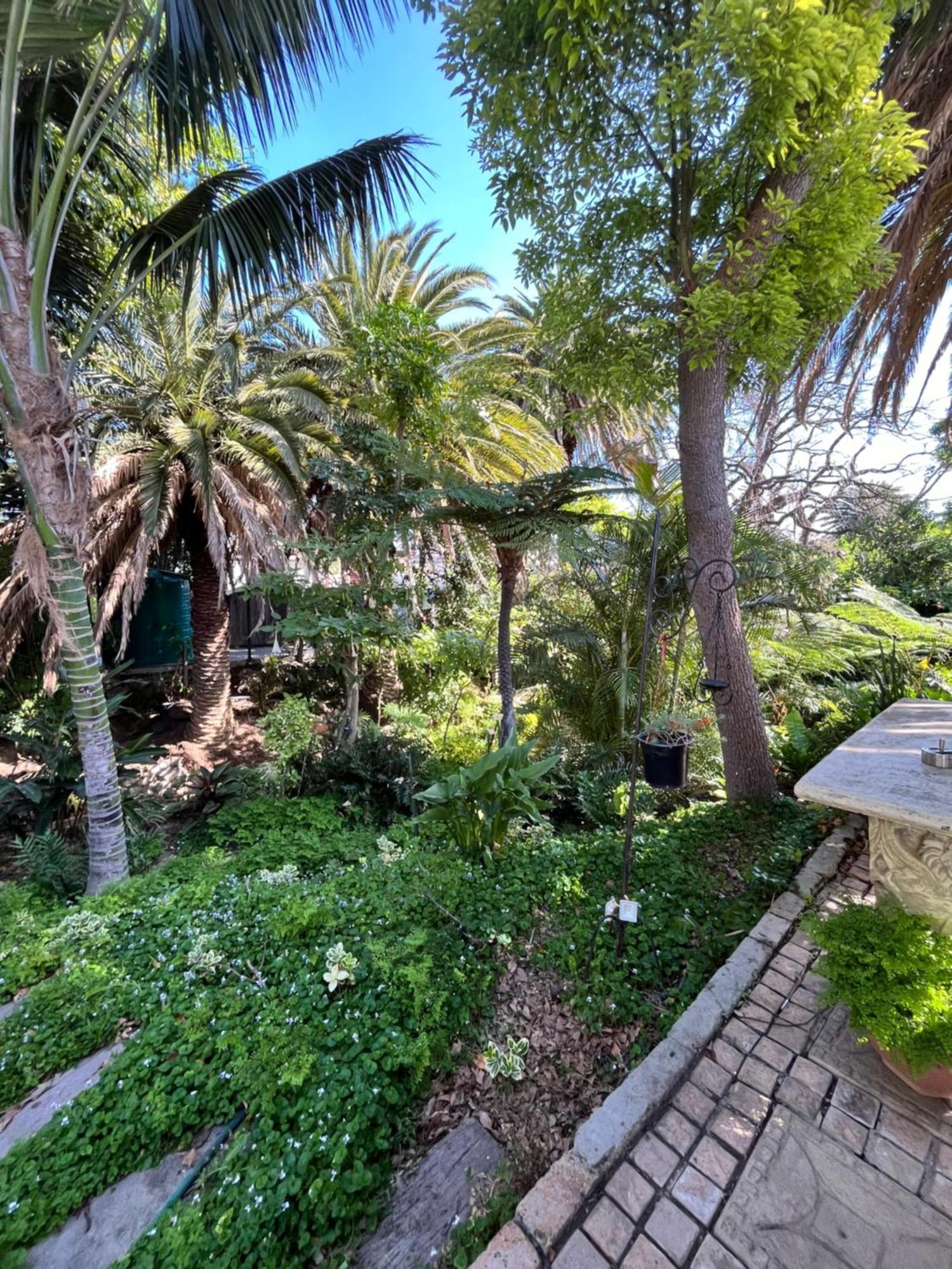 Somerset West Garden Apartments 1 Luaran gambar